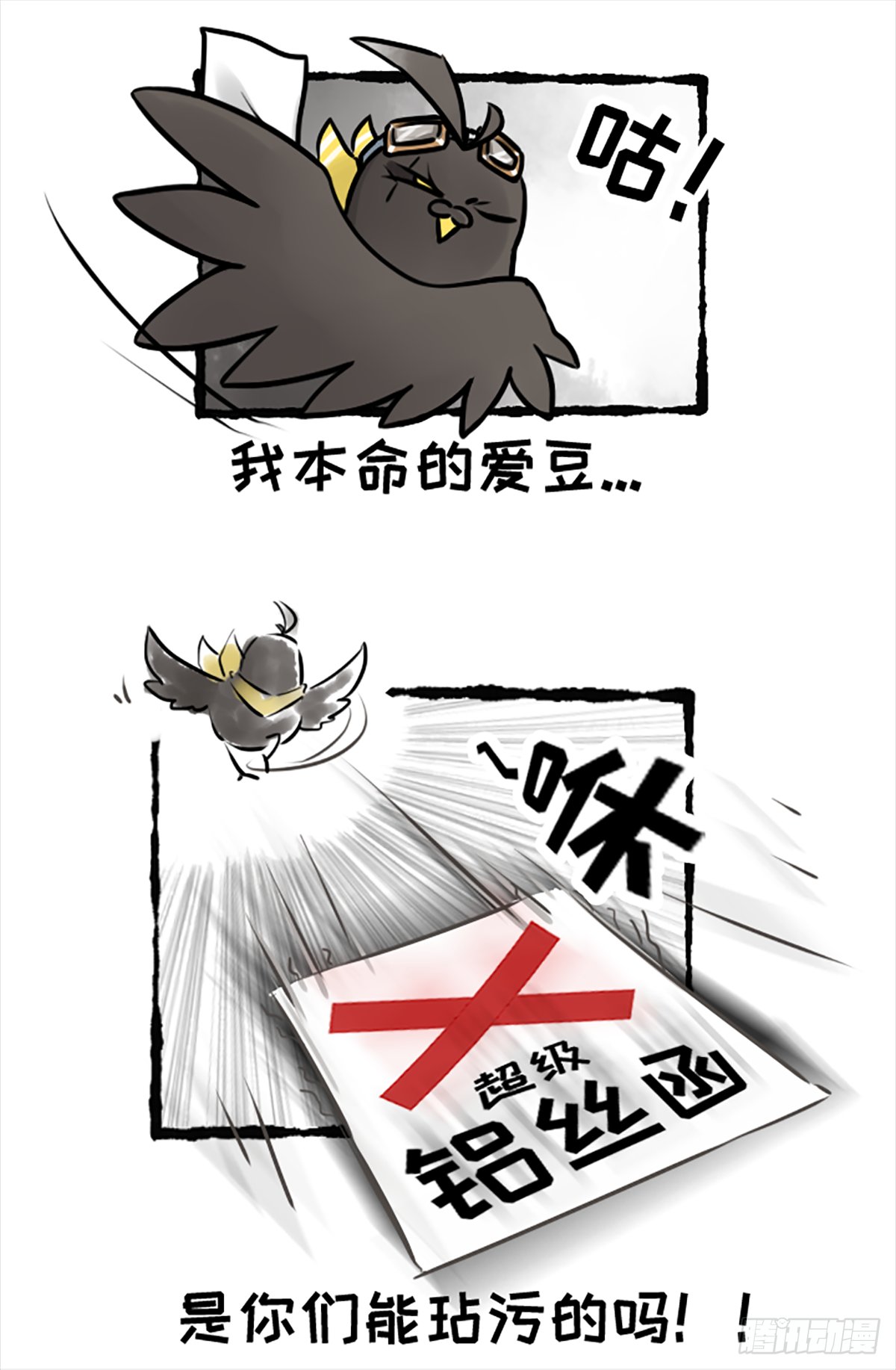 鸽你太美，来碗宽面