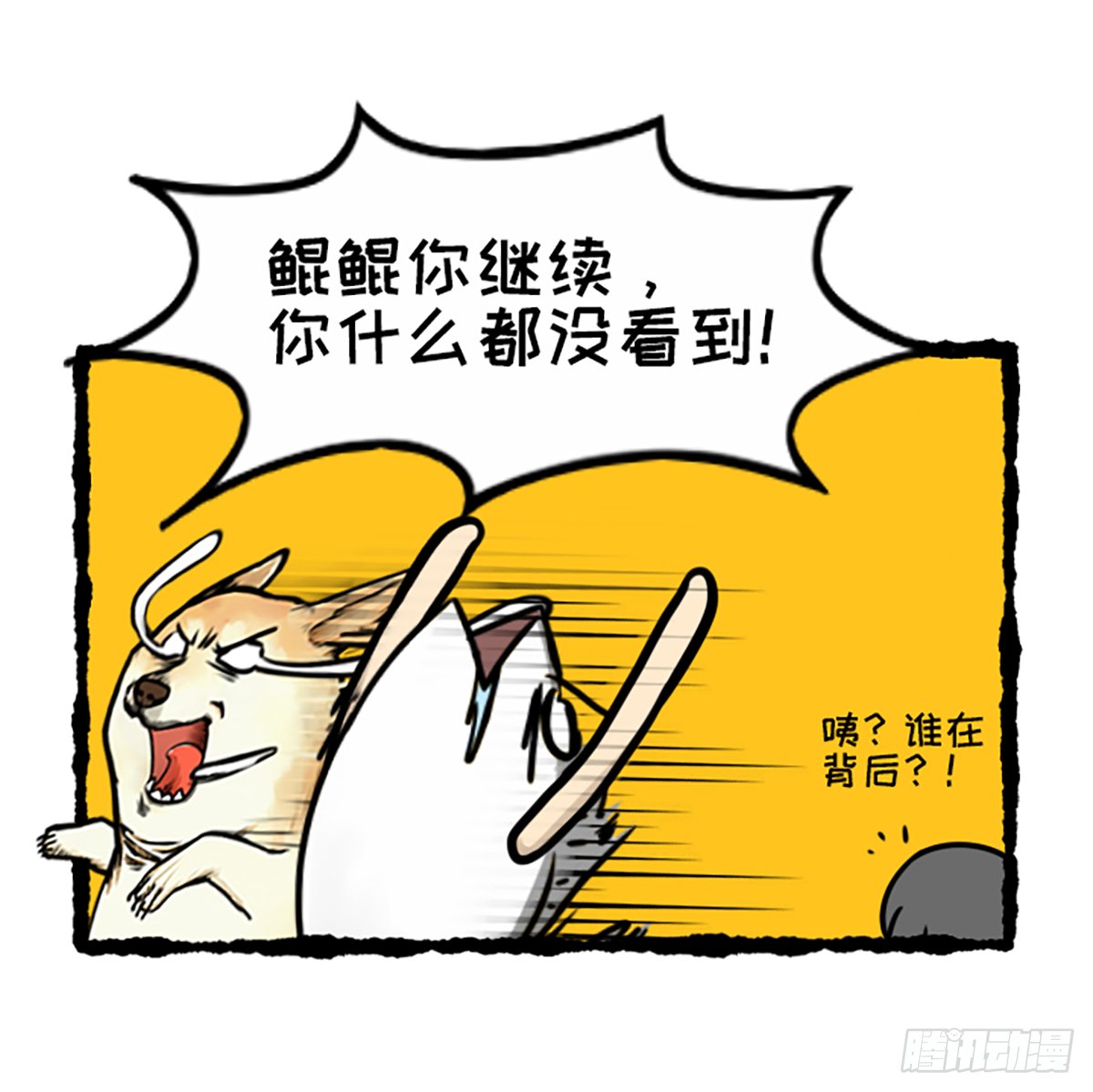 今天你垃圾分（疯）了吗？