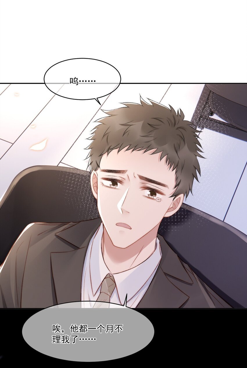 016 孟总的婚约