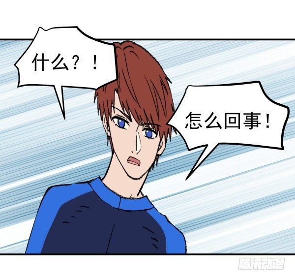 23 片片儿