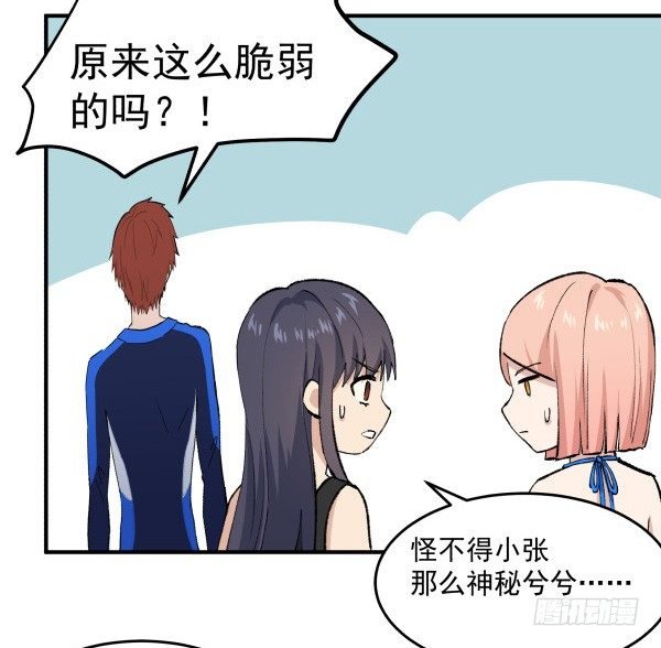 23 片片儿