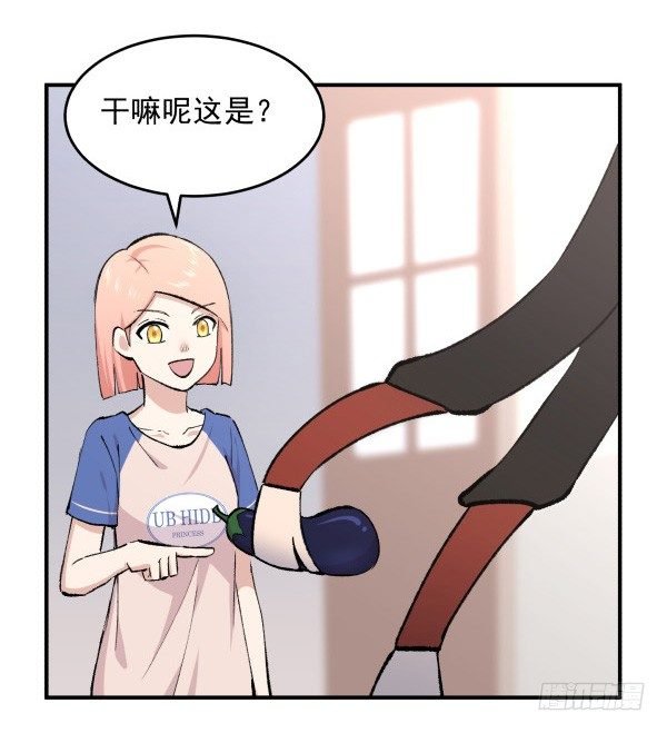 26 训练教程