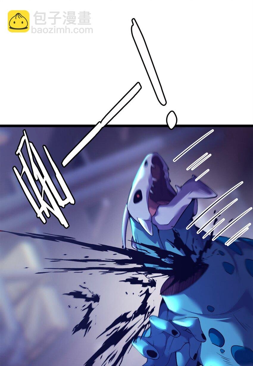 51 51