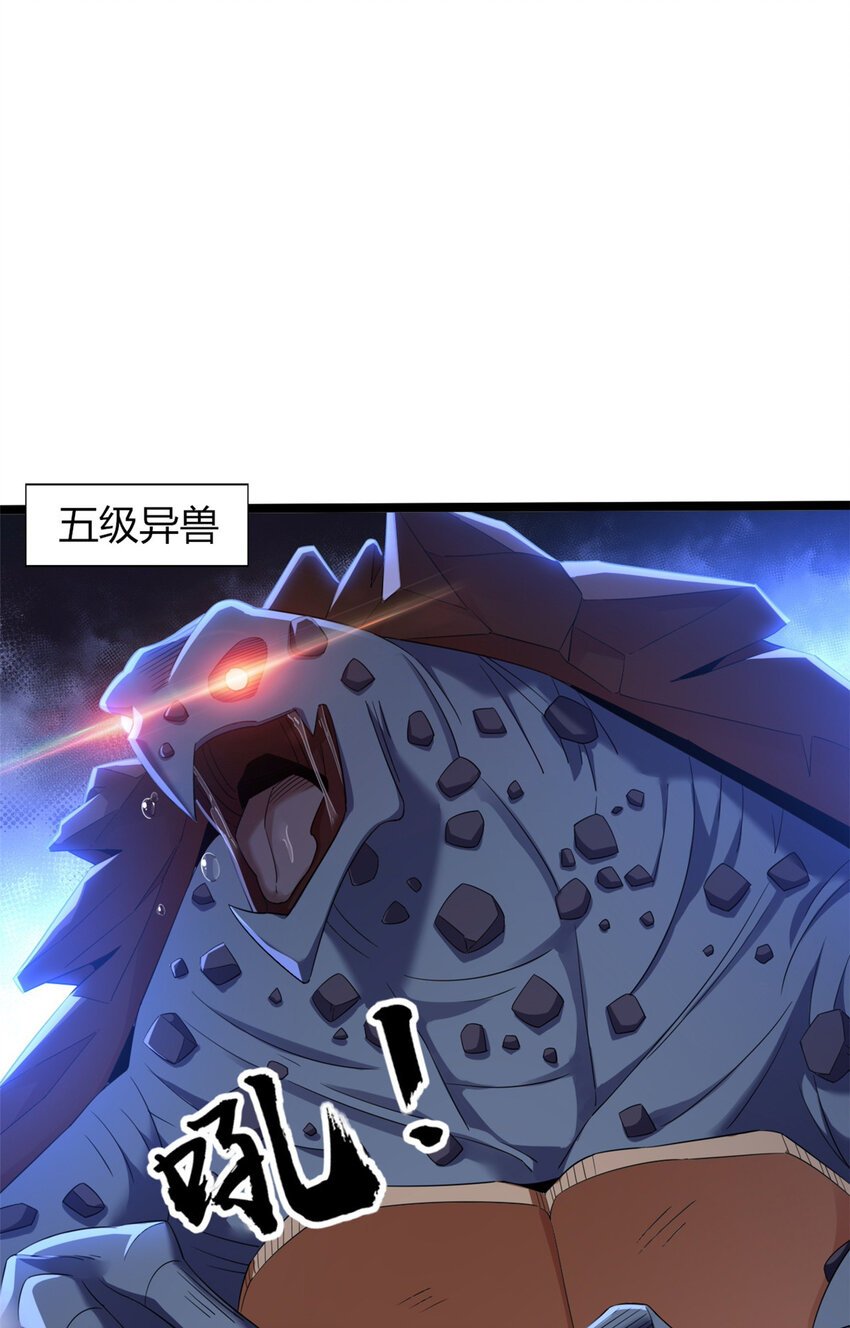 66 66