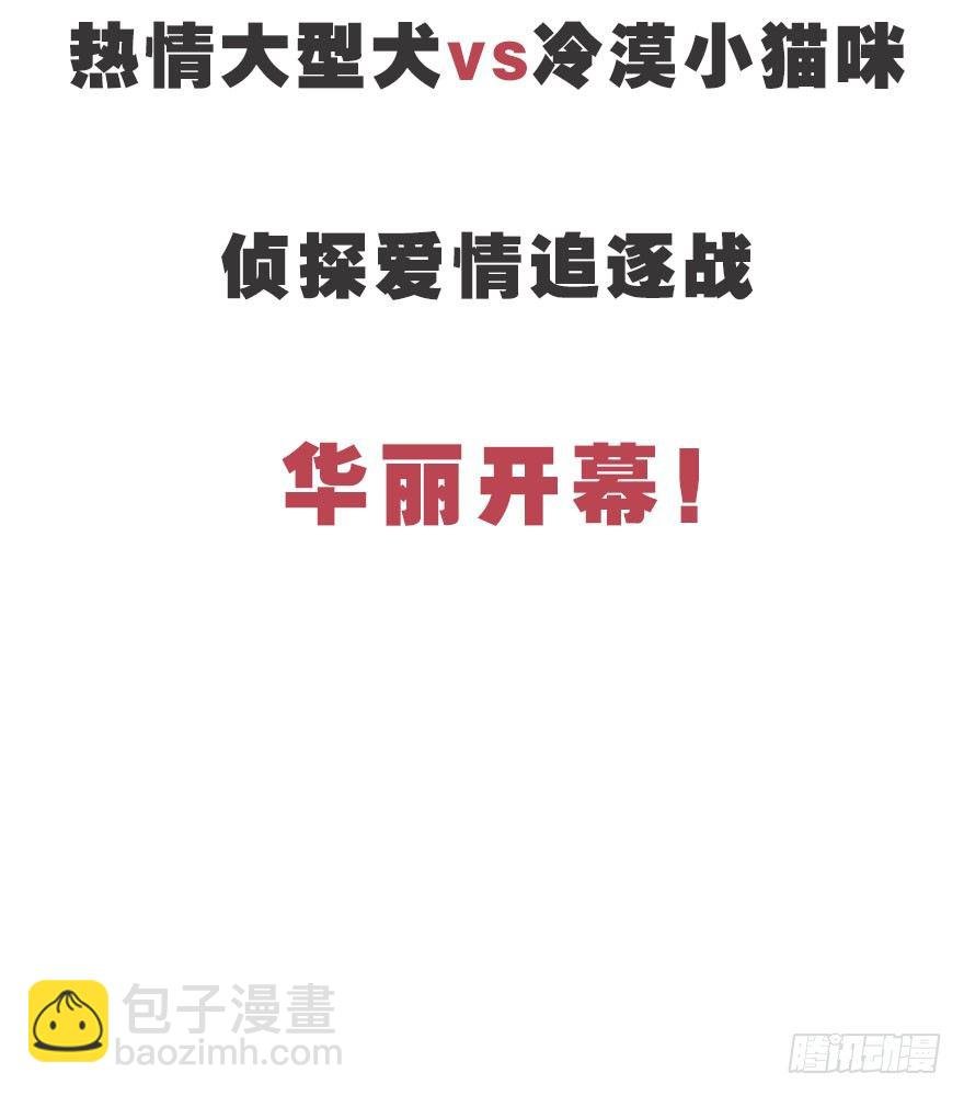 预告