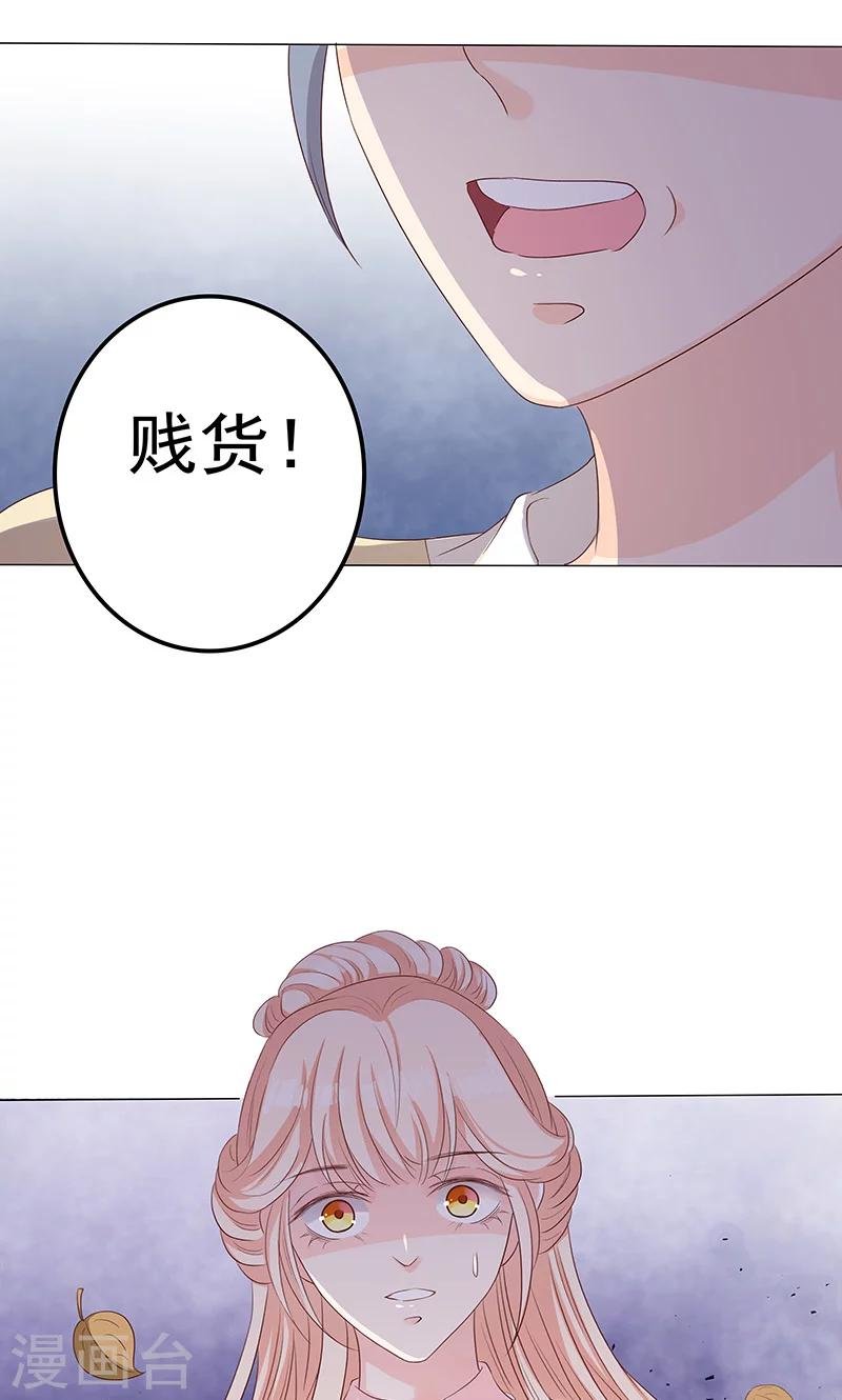 第13话 家宴风波