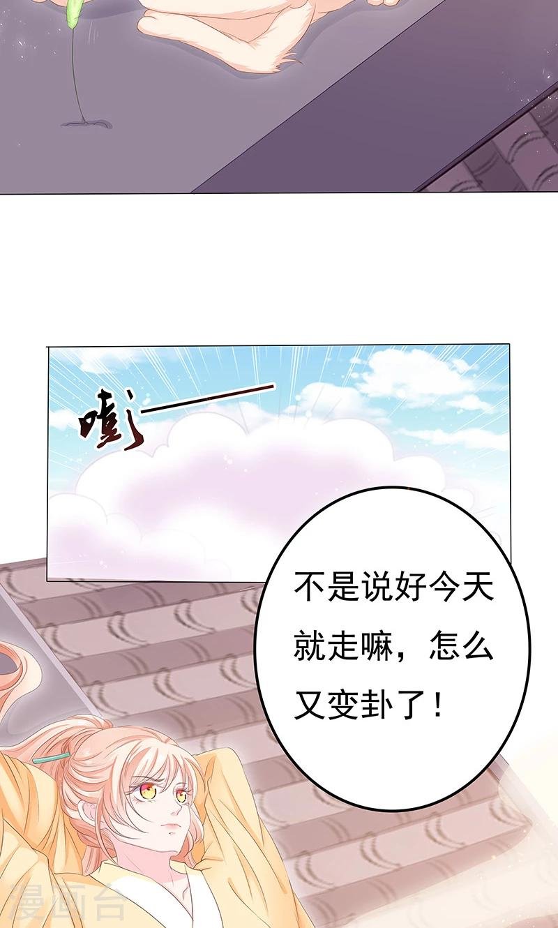 第17话 小小的报复