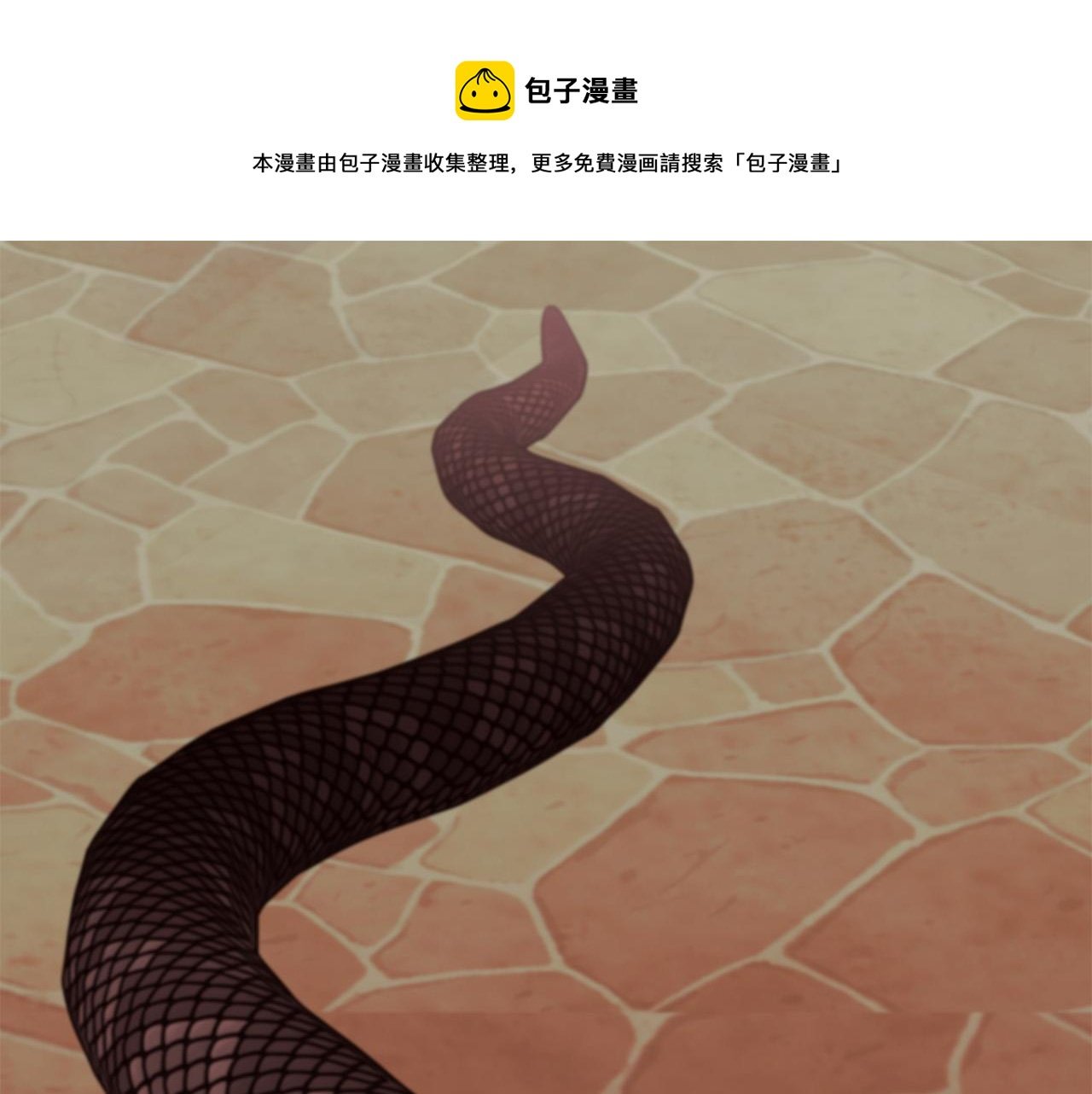 第23话 毒蛇！