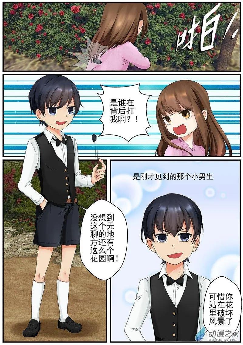 第11朵花 绿色玫瑰的秘密（2）