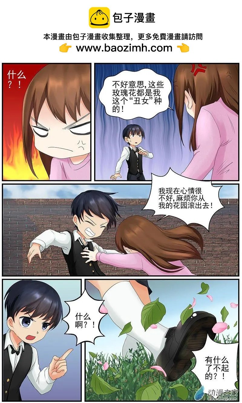 第11朵花 绿色玫瑰的秘密（2）