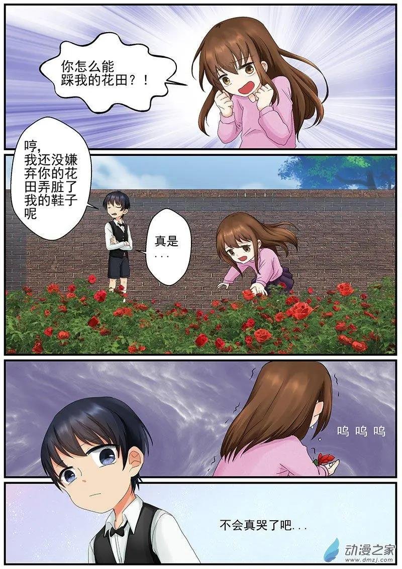 第11朵花 绿色玫瑰的秘密（2）