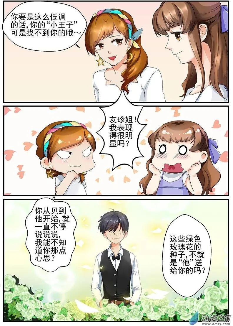 第10朵花 绿色玫瑰的秘密（1）