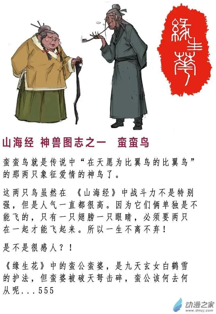 第07朵花 缘灭（7）