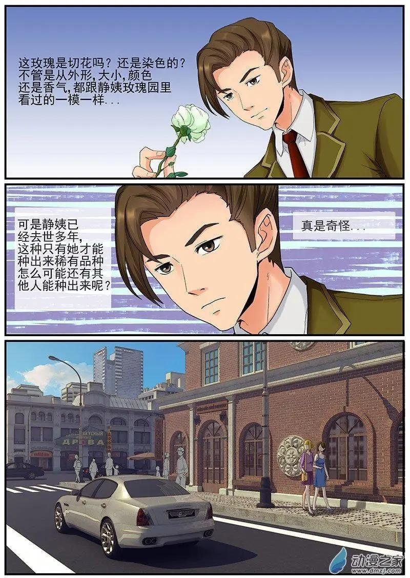 第14朵花 绿色玫瑰的秘密（5）