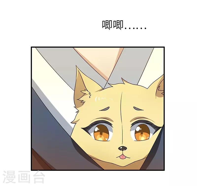 第15话 灵兽