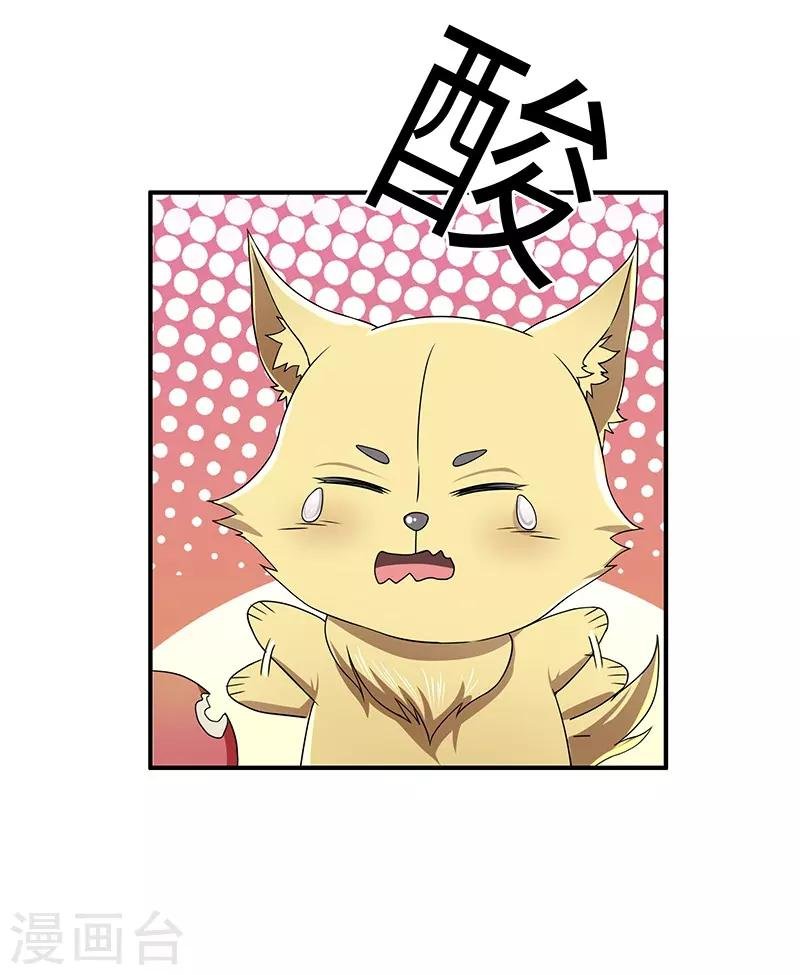 第17话 再相逢