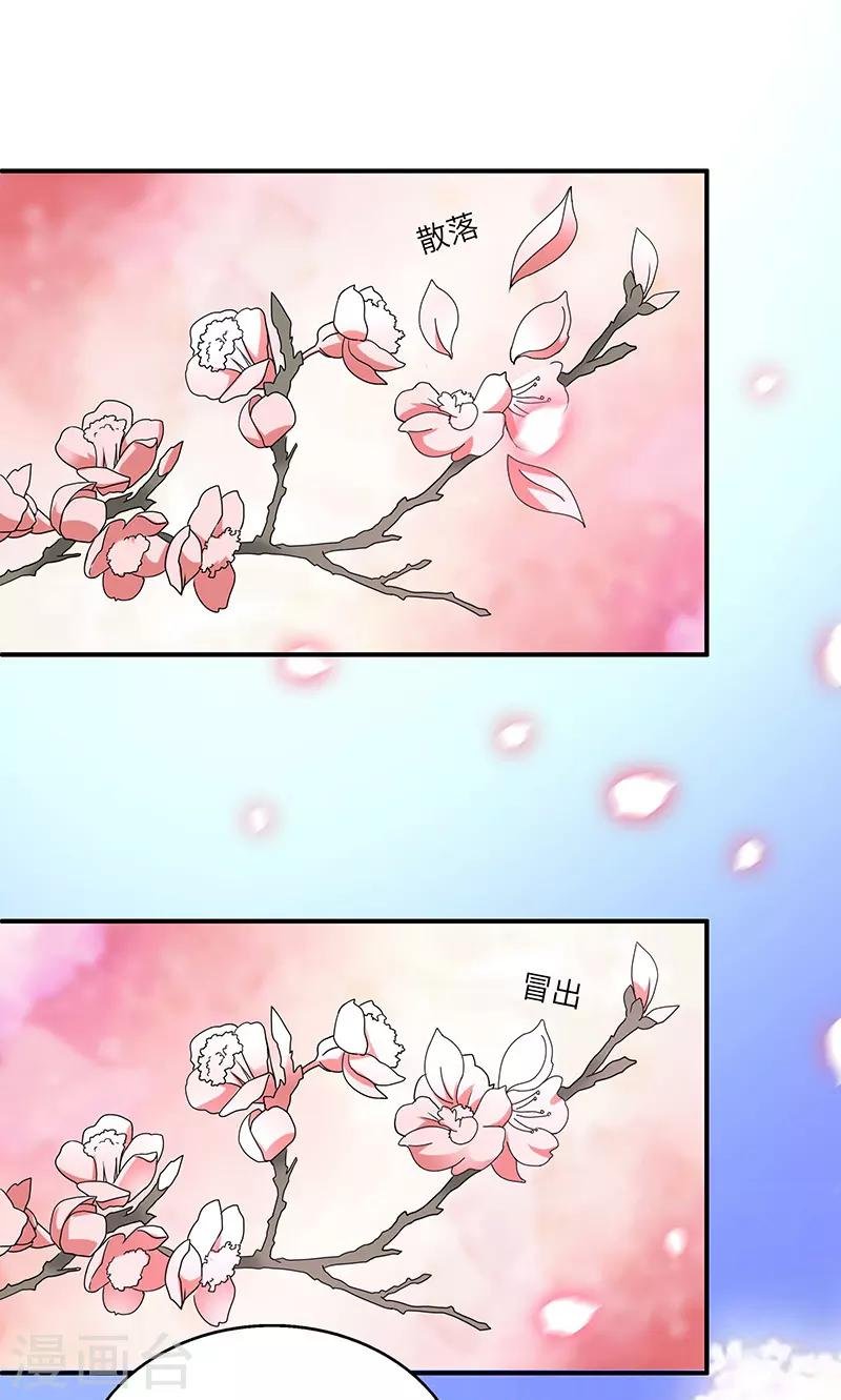 第5话 桃花深处