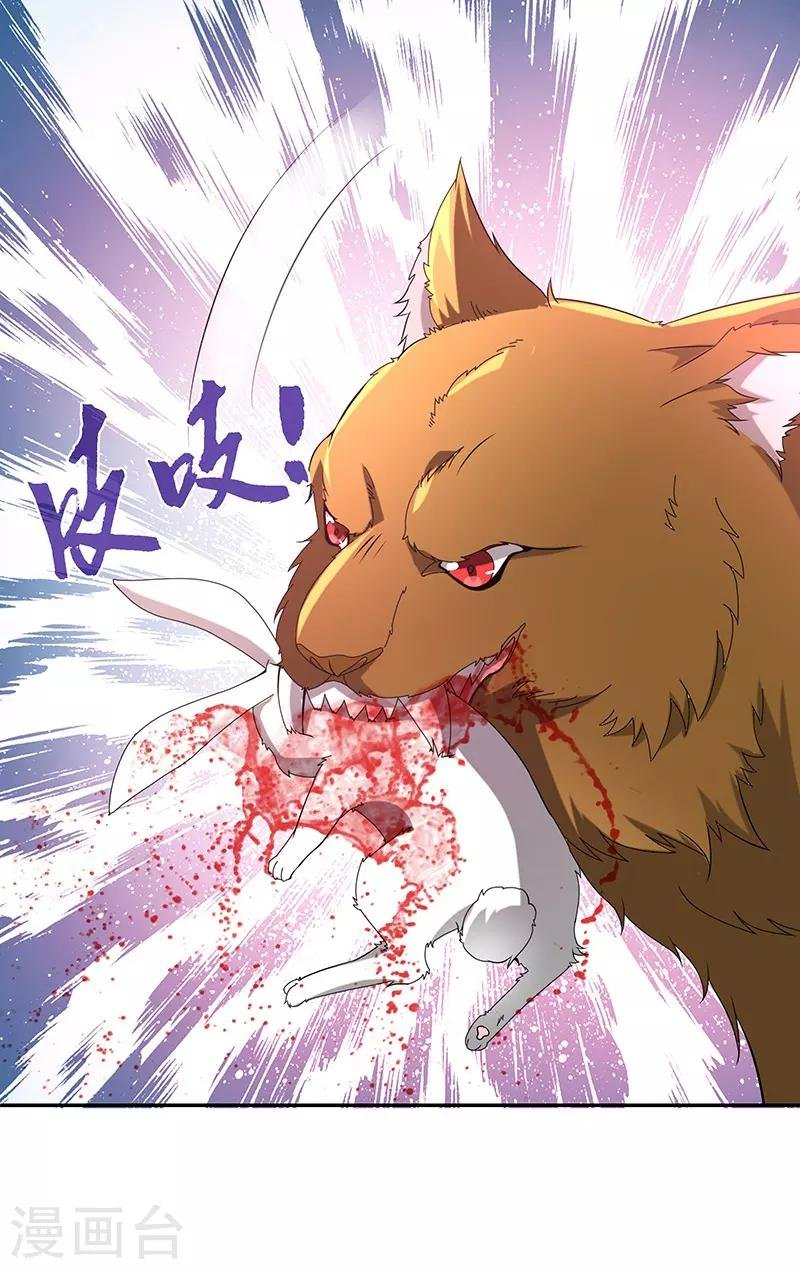 第5话 桃花深处