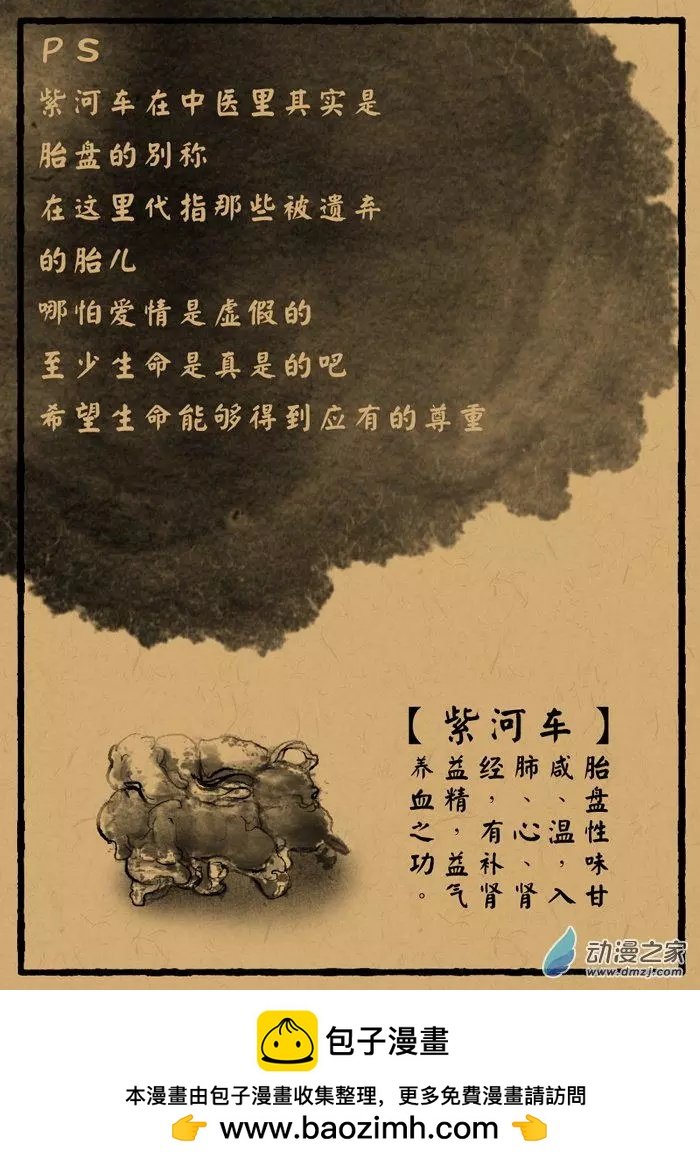 第26回 紫河车