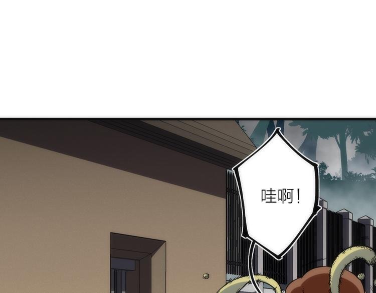 第13话 进化
