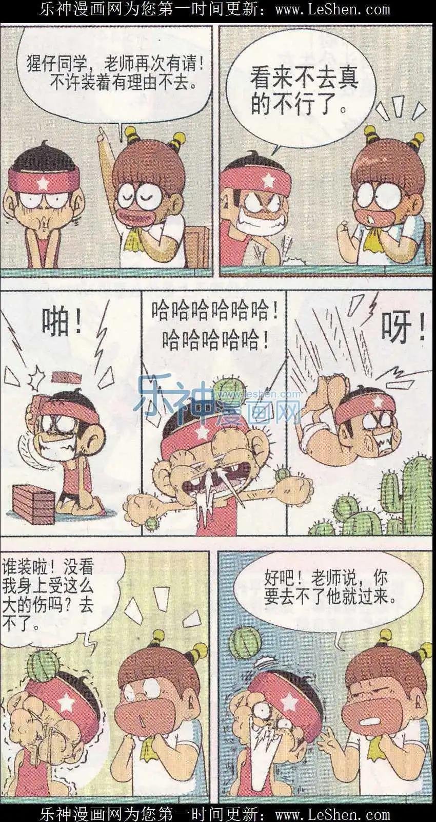 第242期