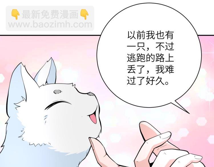 第136话 登场！