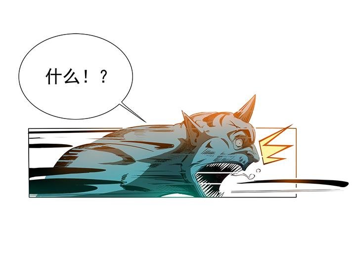 第8话 翻滚吧，秃头张！