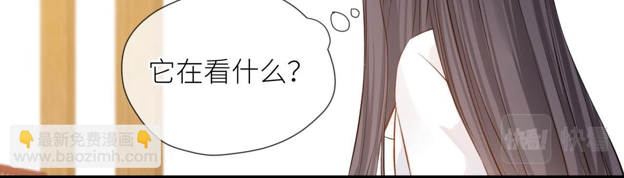完结篇 橘生淮南