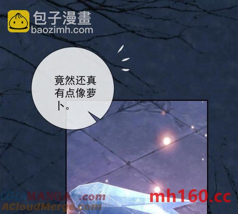 第38话 看冰灯