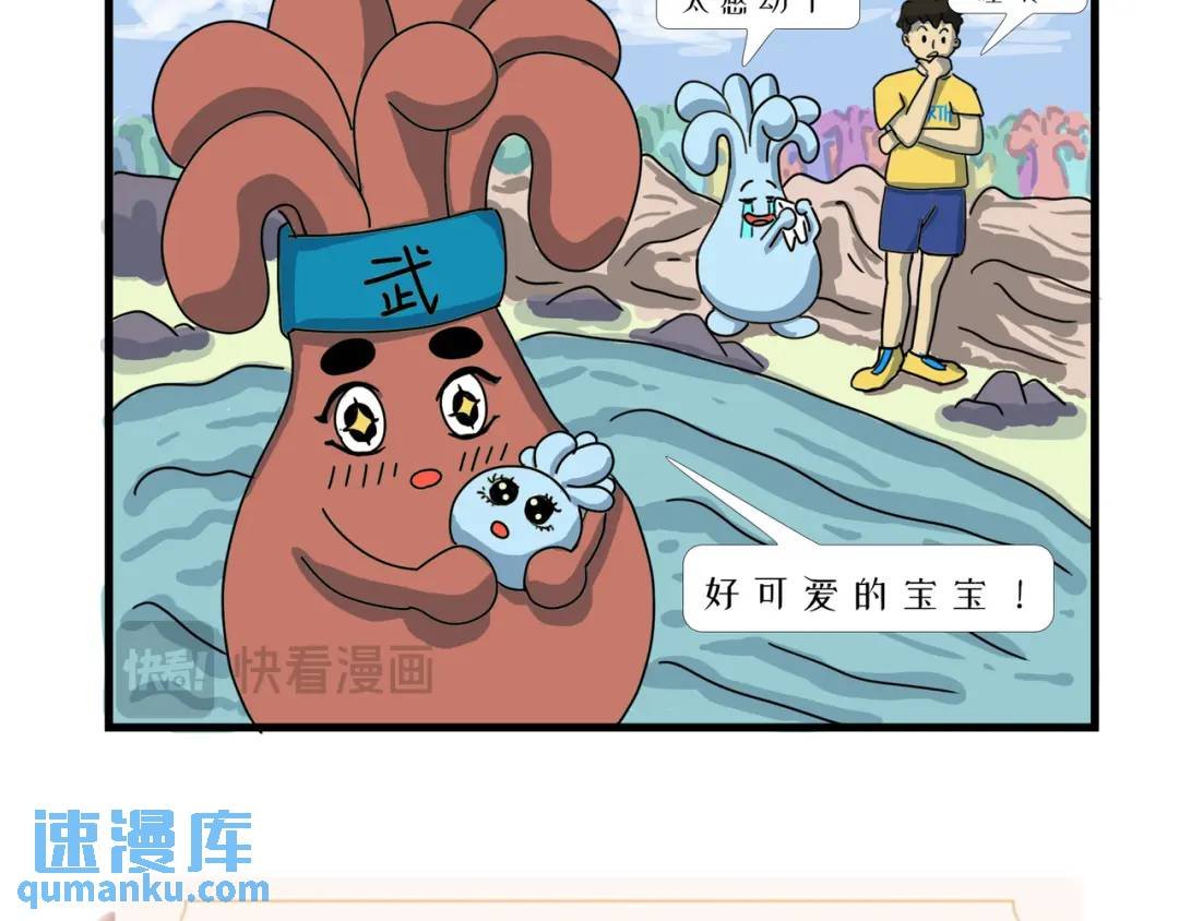 新生命的诞生！