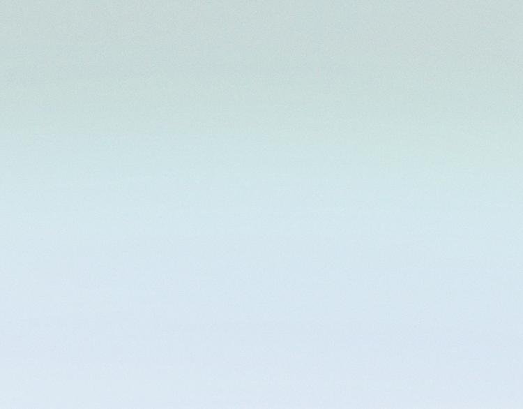 第14话 招财猫