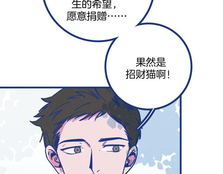 第14话 招财猫