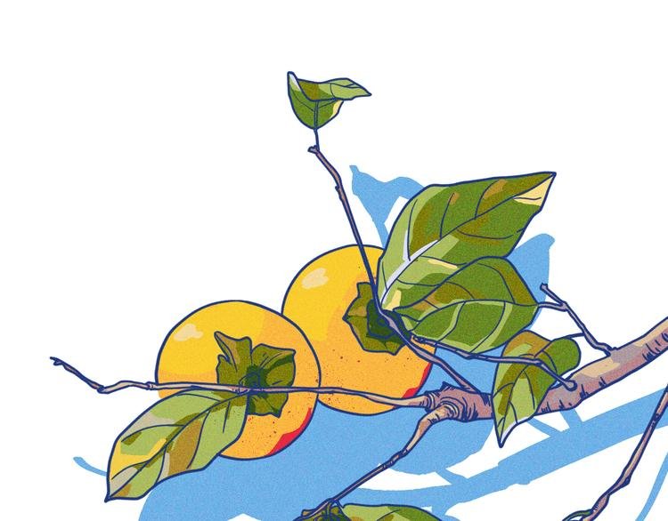 第3话 植物克星