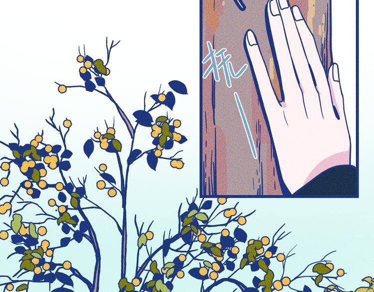 第3话 植物克星