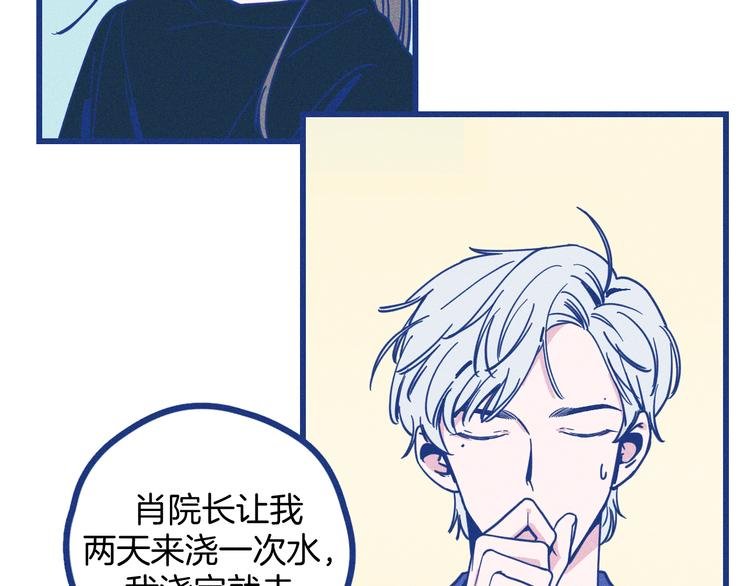 第3话 植物克星