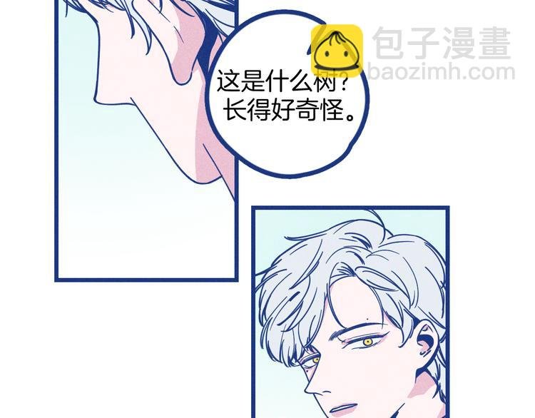 第3话 植物克星
