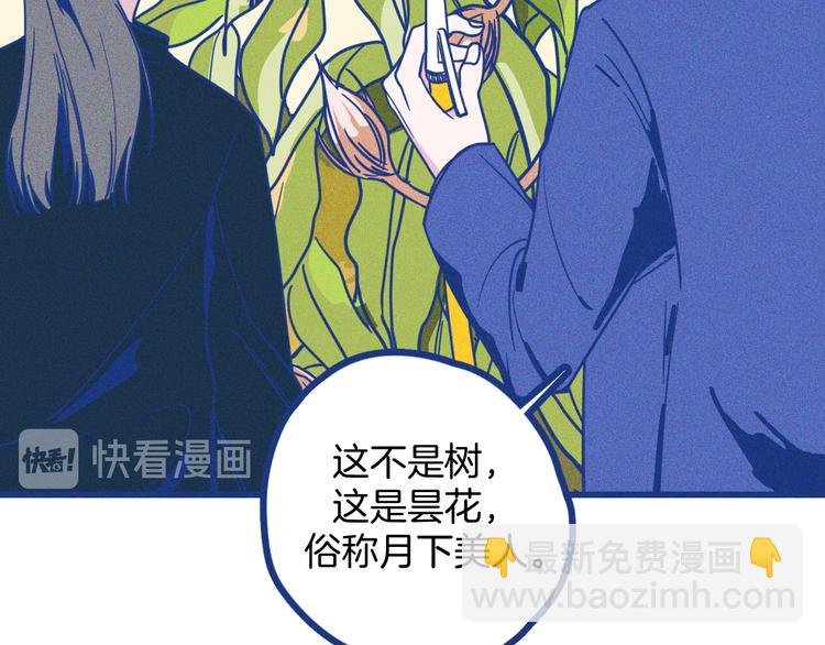 第3话 植物克星