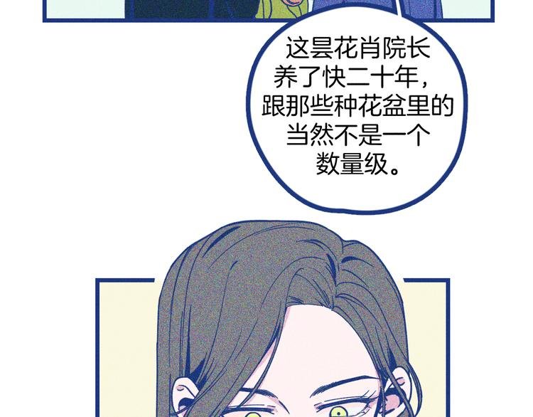第3话 植物克星