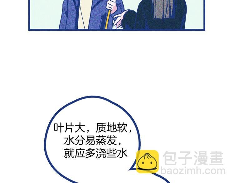 第3话 植物克星