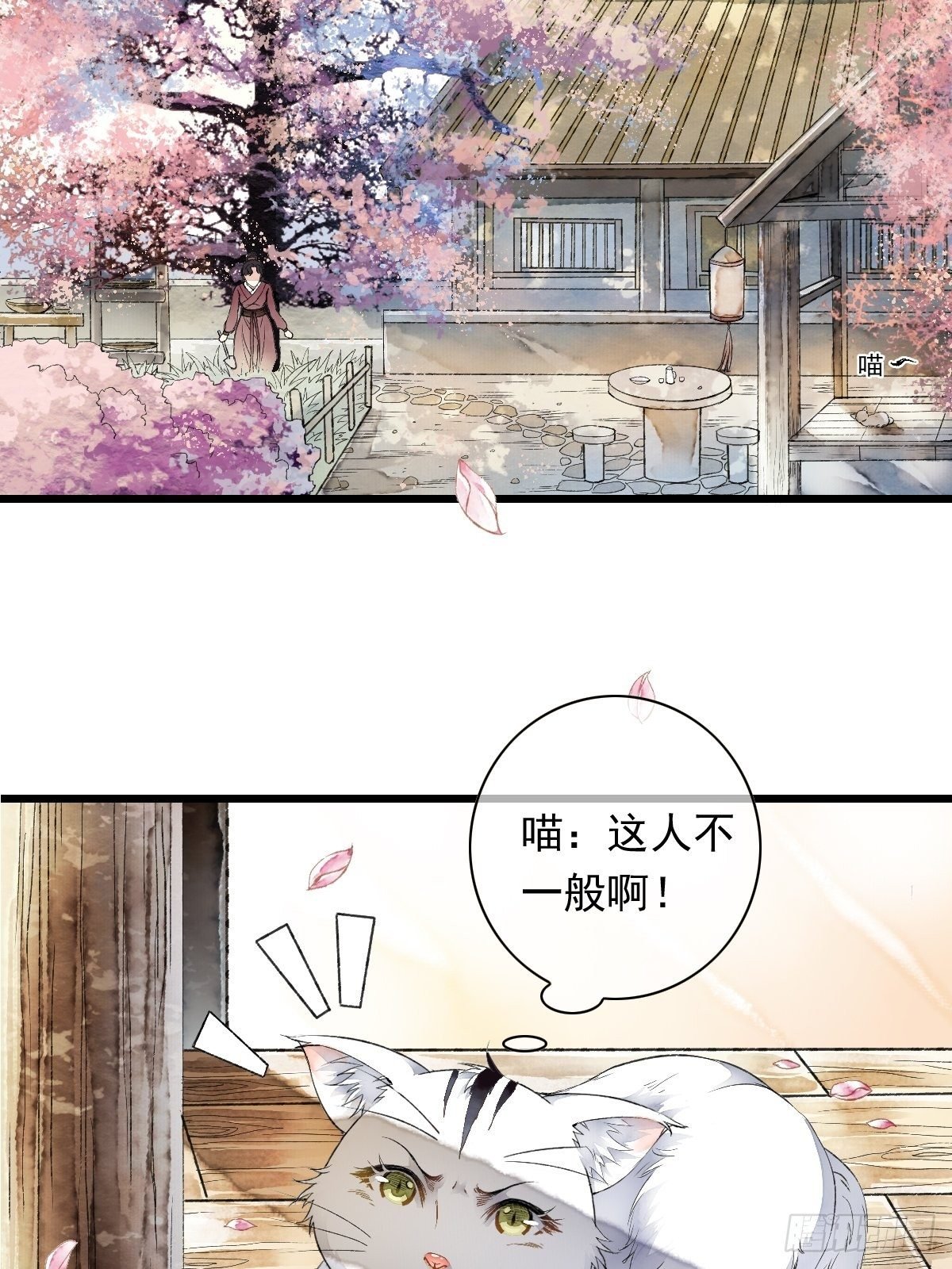 战狼的“局”