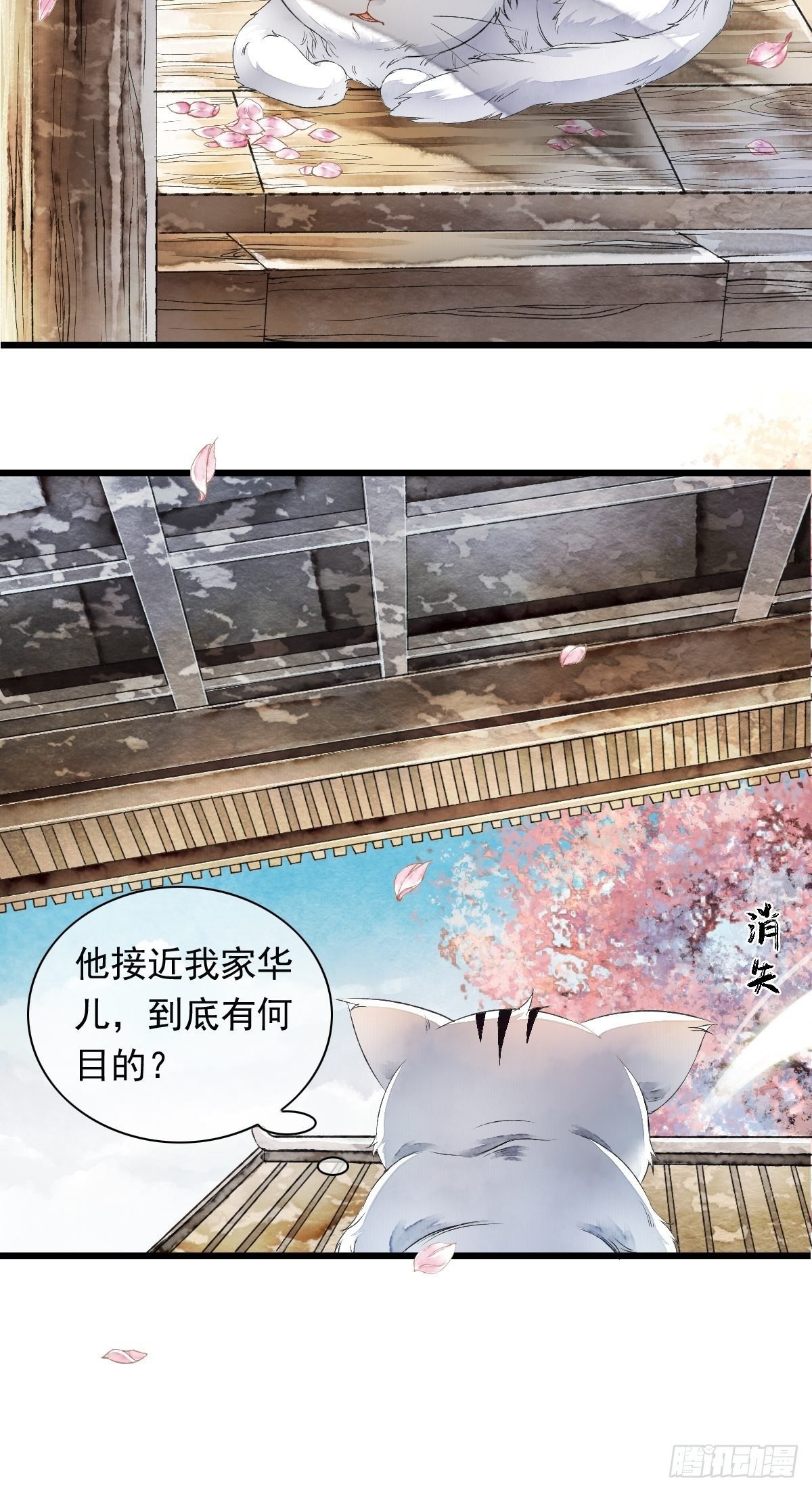 战狼的“局”
