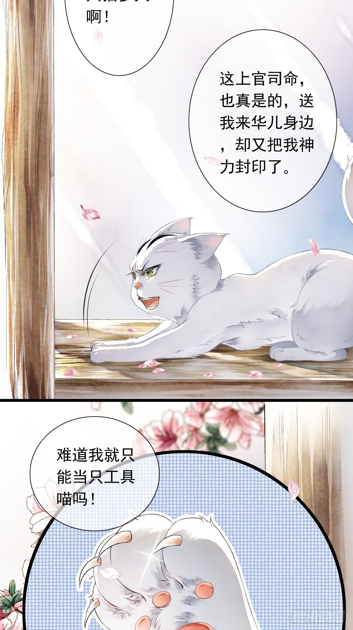 战狼的“局”