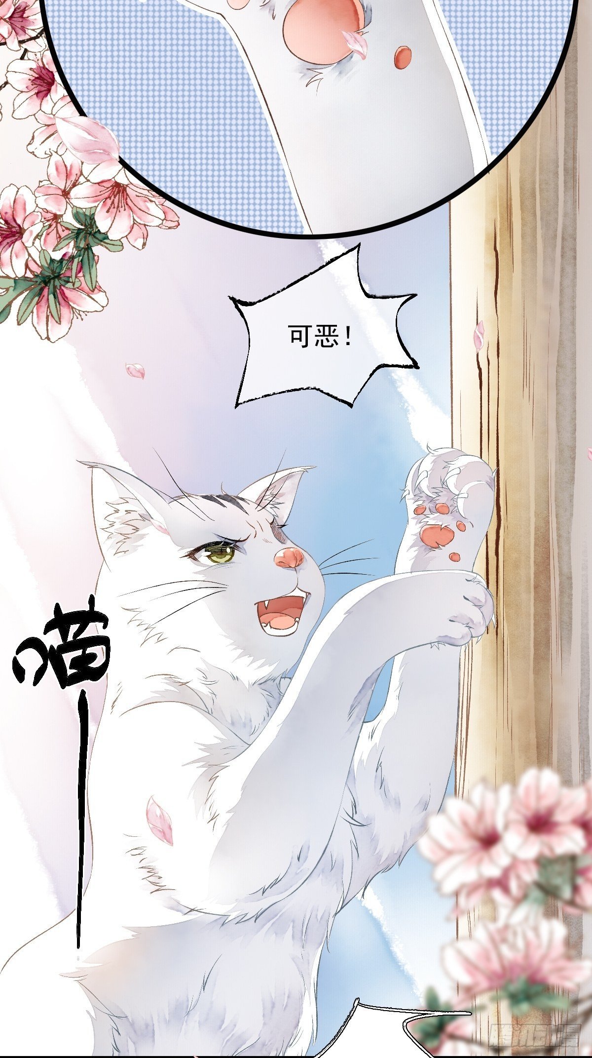 战狼的“局”