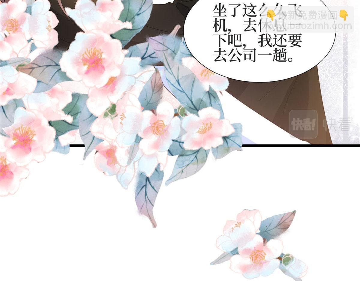 第184话 宠粉