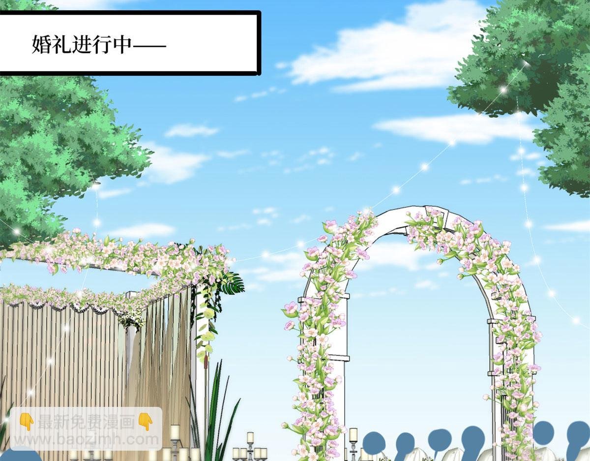 第204话 婚礼