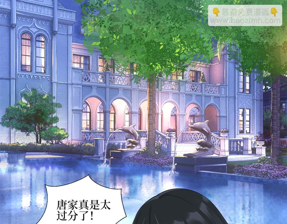 第233话 起诉唐家