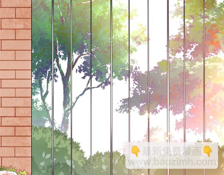 第二十七话 宣布复出