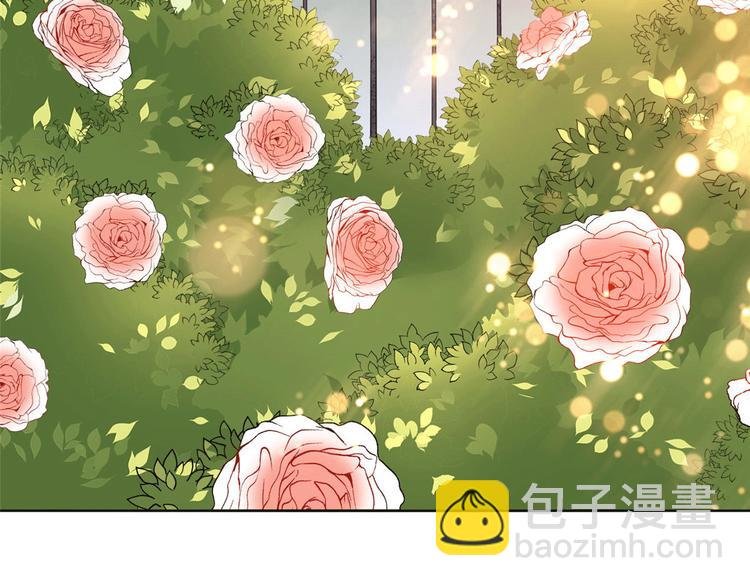 第二十七话 宣布复出