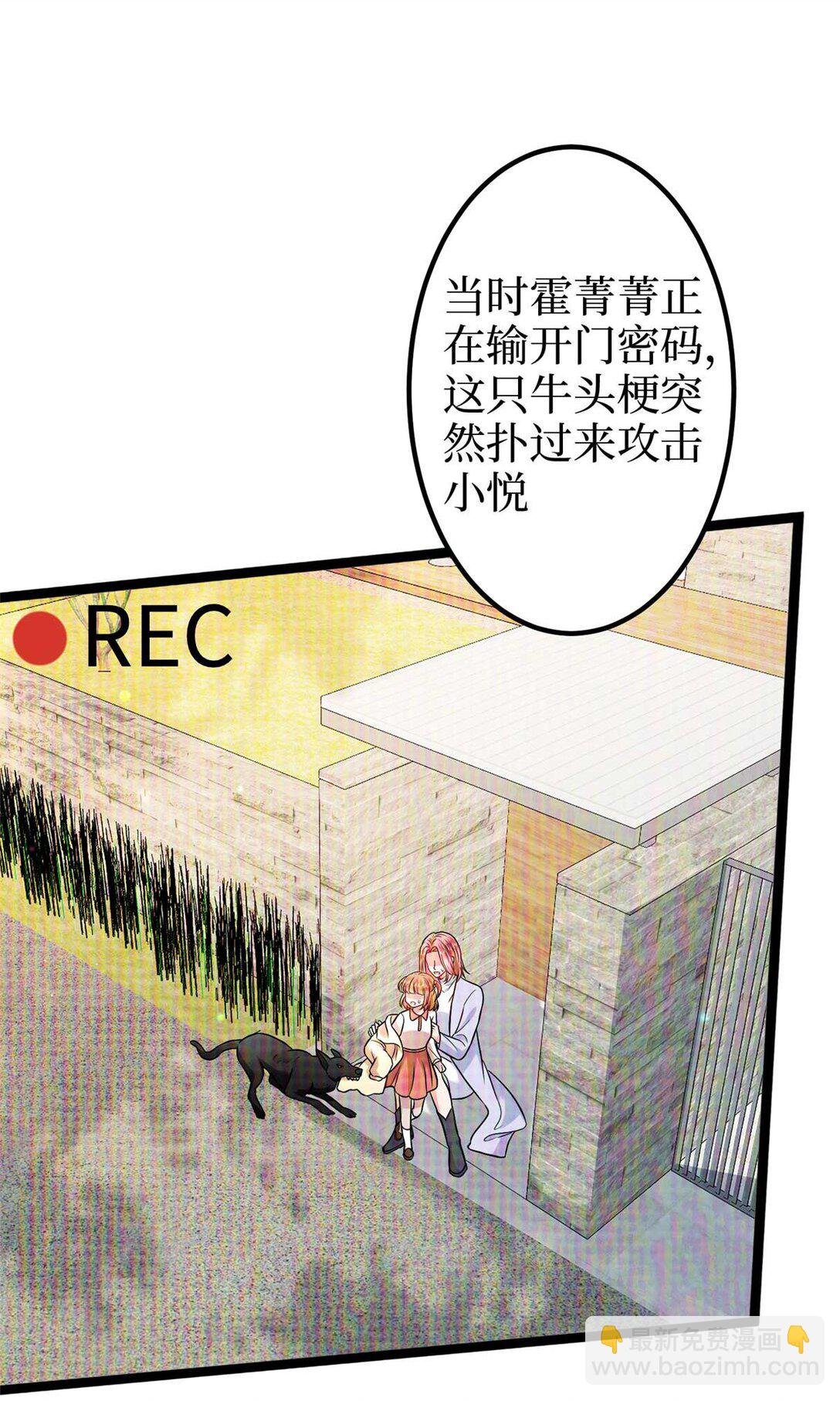 381 唐宁，你真的老了