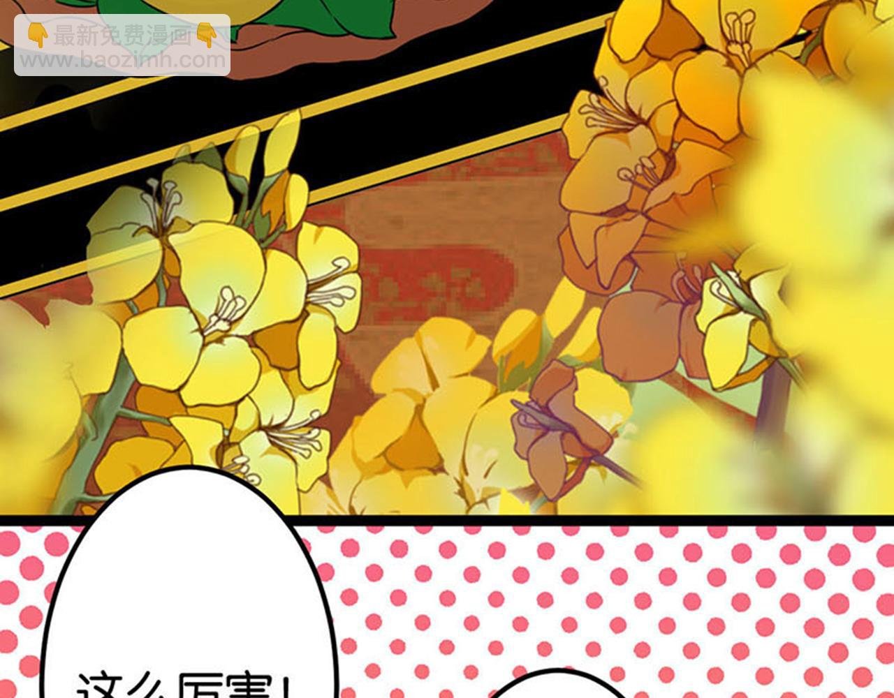 第7话 皇商之女